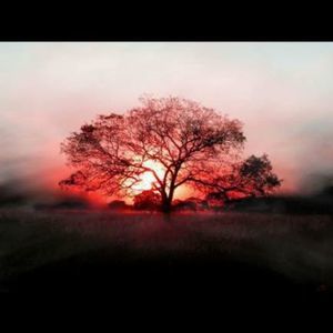 Meet your Posher, Sidney